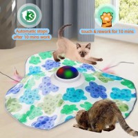 Pet Products Wholesale hide and seek pet toy pet gift for cat