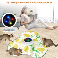 smart automatic hide and seek pet toy self play cat toy