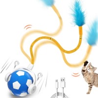 automatic hose ball  pet toy self play cat toy